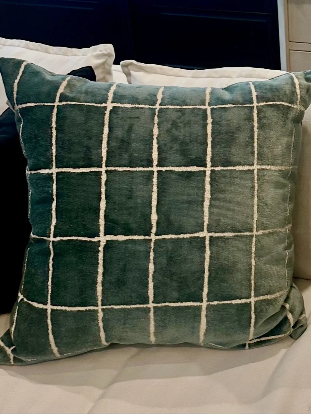 Southern Living Euro Pillows